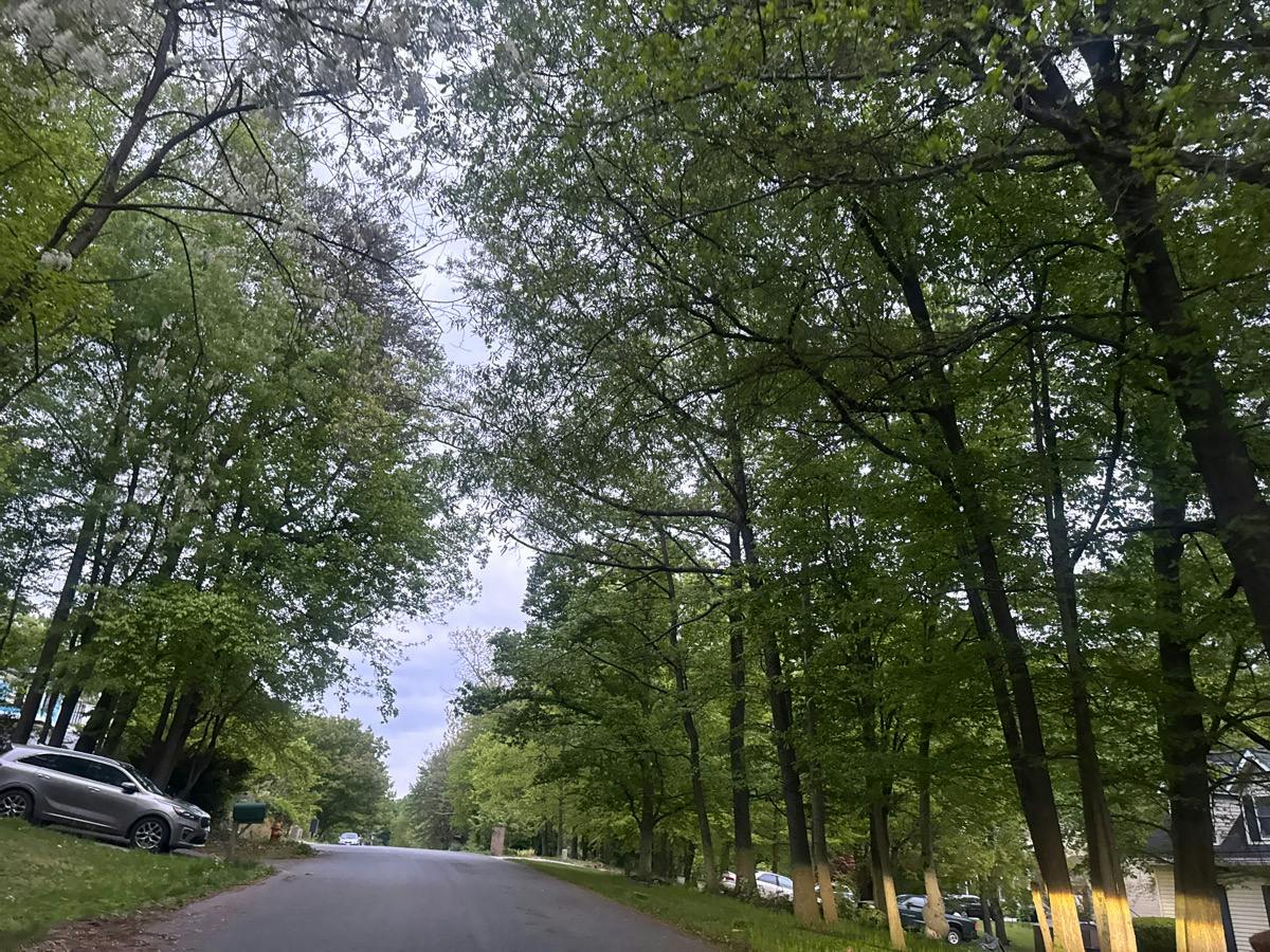 Rose Ln, Jessup, MD 20794