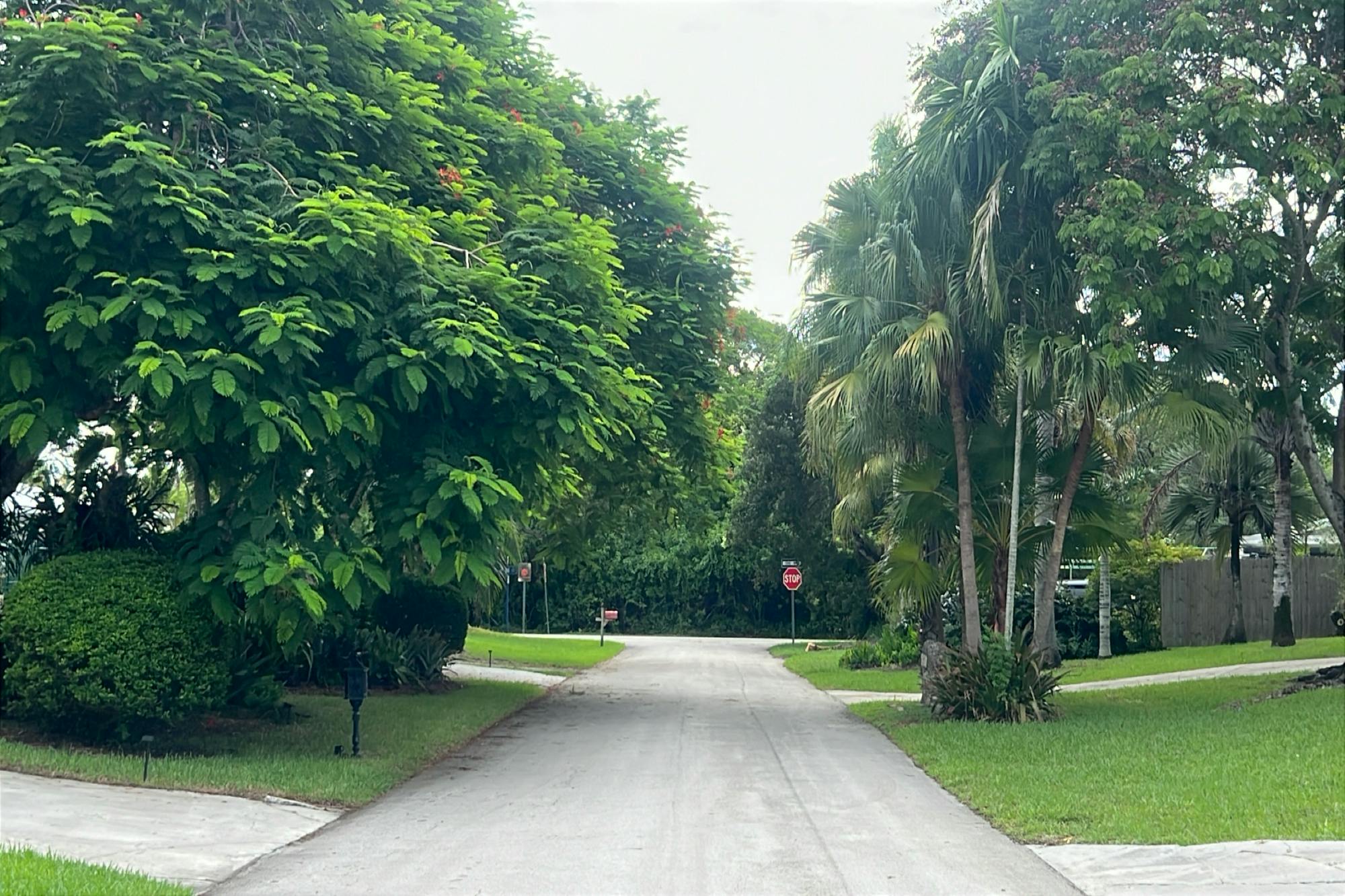 171st St, Palmetto Bay, FL 33157