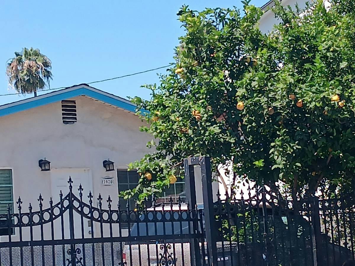 Strang St, Los Angeles, CA 90063 #1