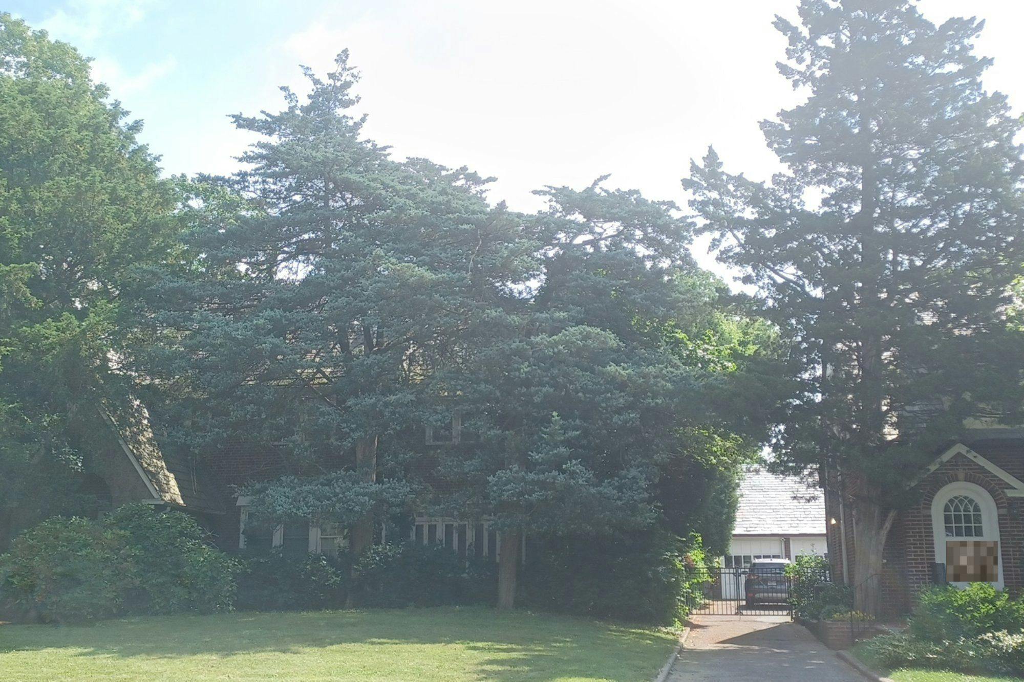 Long Dr, Hempstead, NY 11550 #1