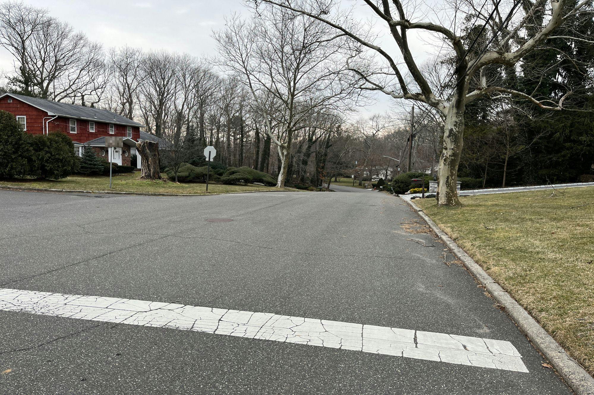 Arbor Ln, Dix Hills, NY 11746 #1