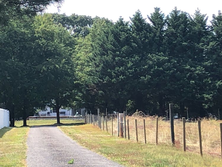 4555 Williams Wharf Road St Leonard, MD 20685, Calvert County