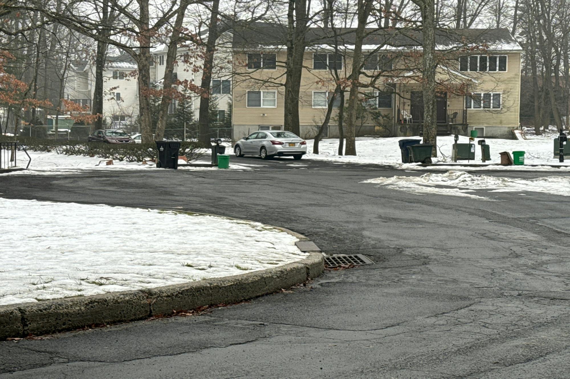 Albert Dr, Monsey, NY 10952 #1