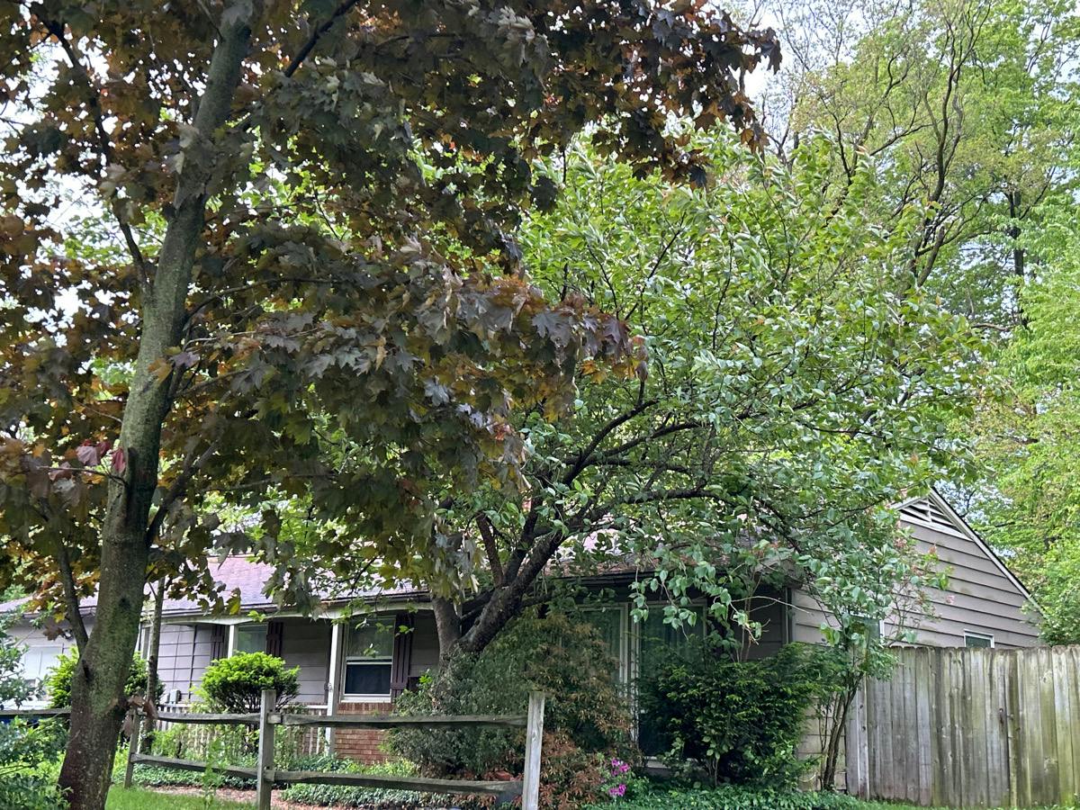 Southgrove Rd, Mentor, OH 44060 #1