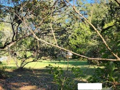 74th Ave, Alachua, FL 32615 #1