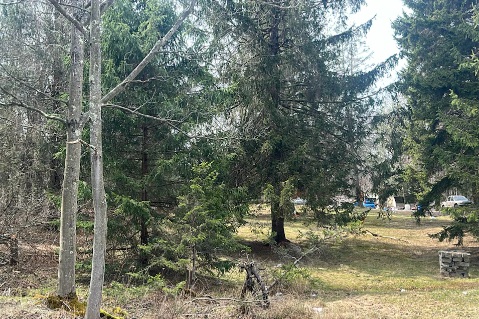 331 Stoney Hollow Rd Pocono Pines, PA 18350, Monroe County