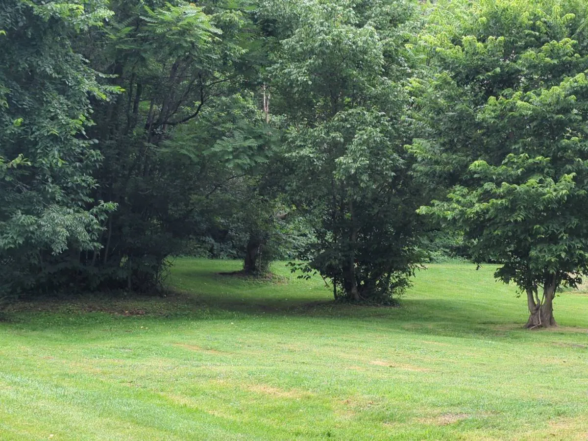 Smithdale Rd, West Newton, PA 15089 #1