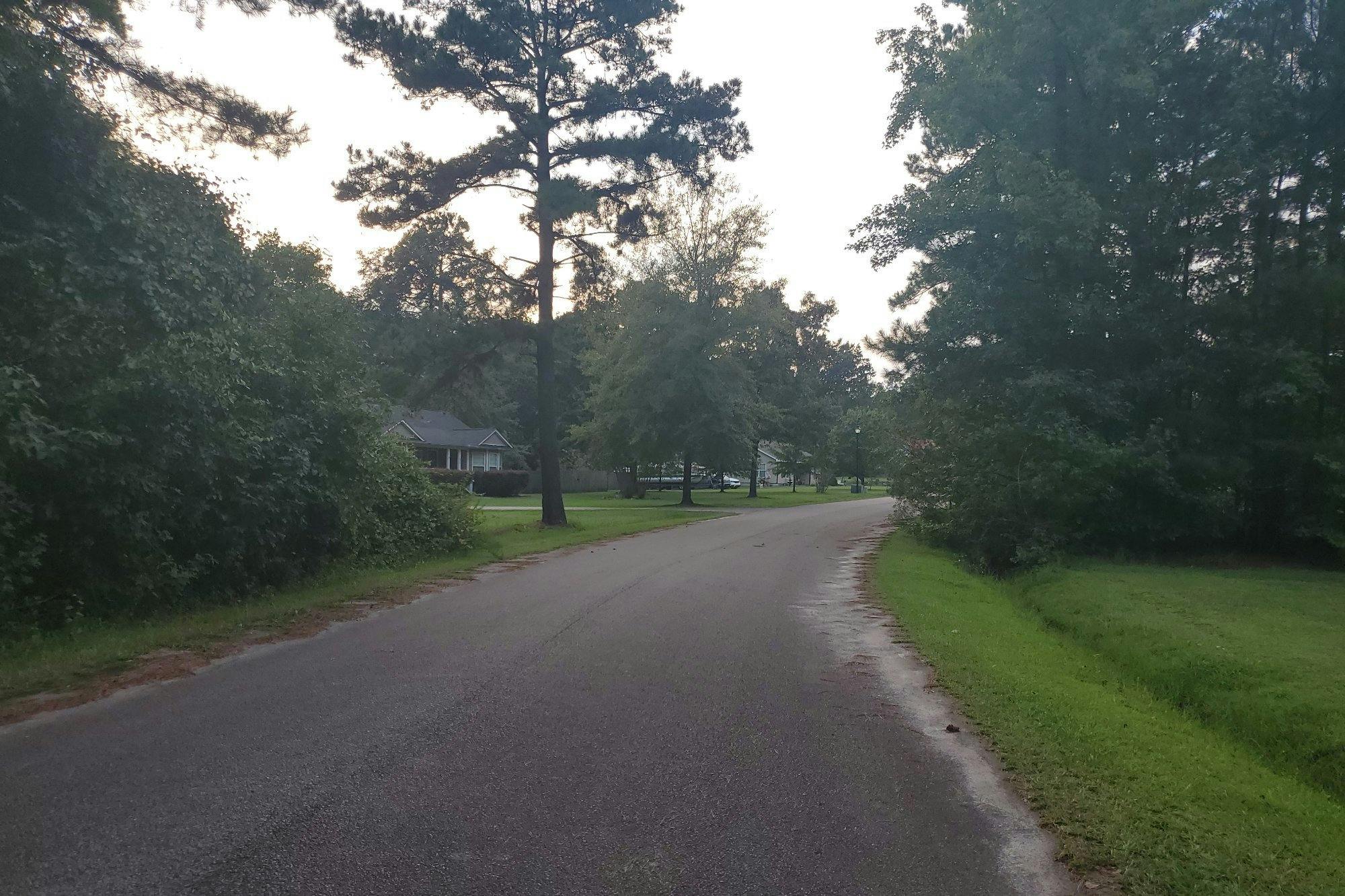 White Pines Dr, Camden, SC 29020 #1
