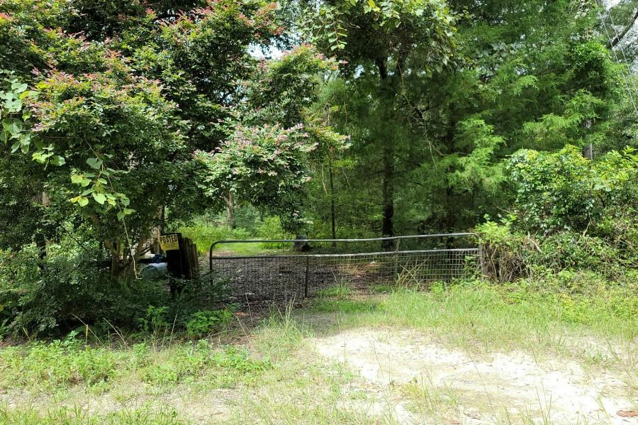 Marino Way, High Springs, FL 32643 #1