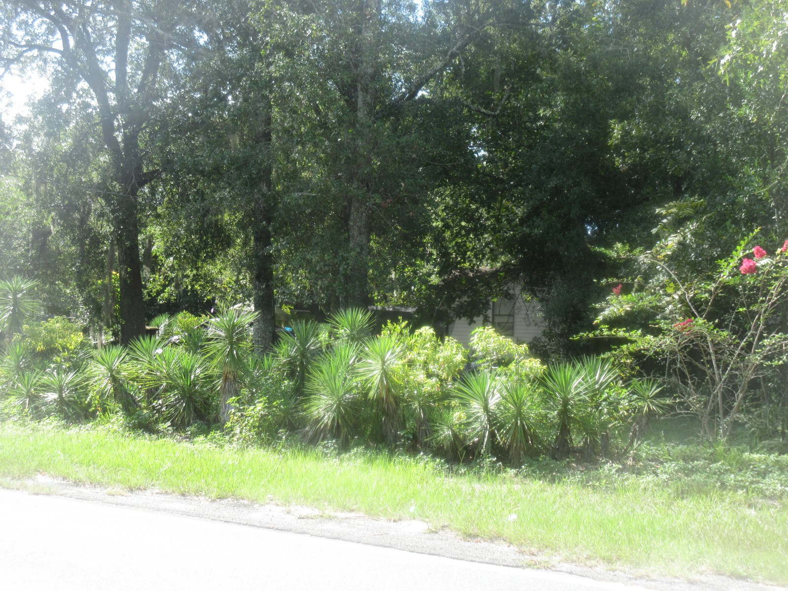 8406 Noroad photo 8