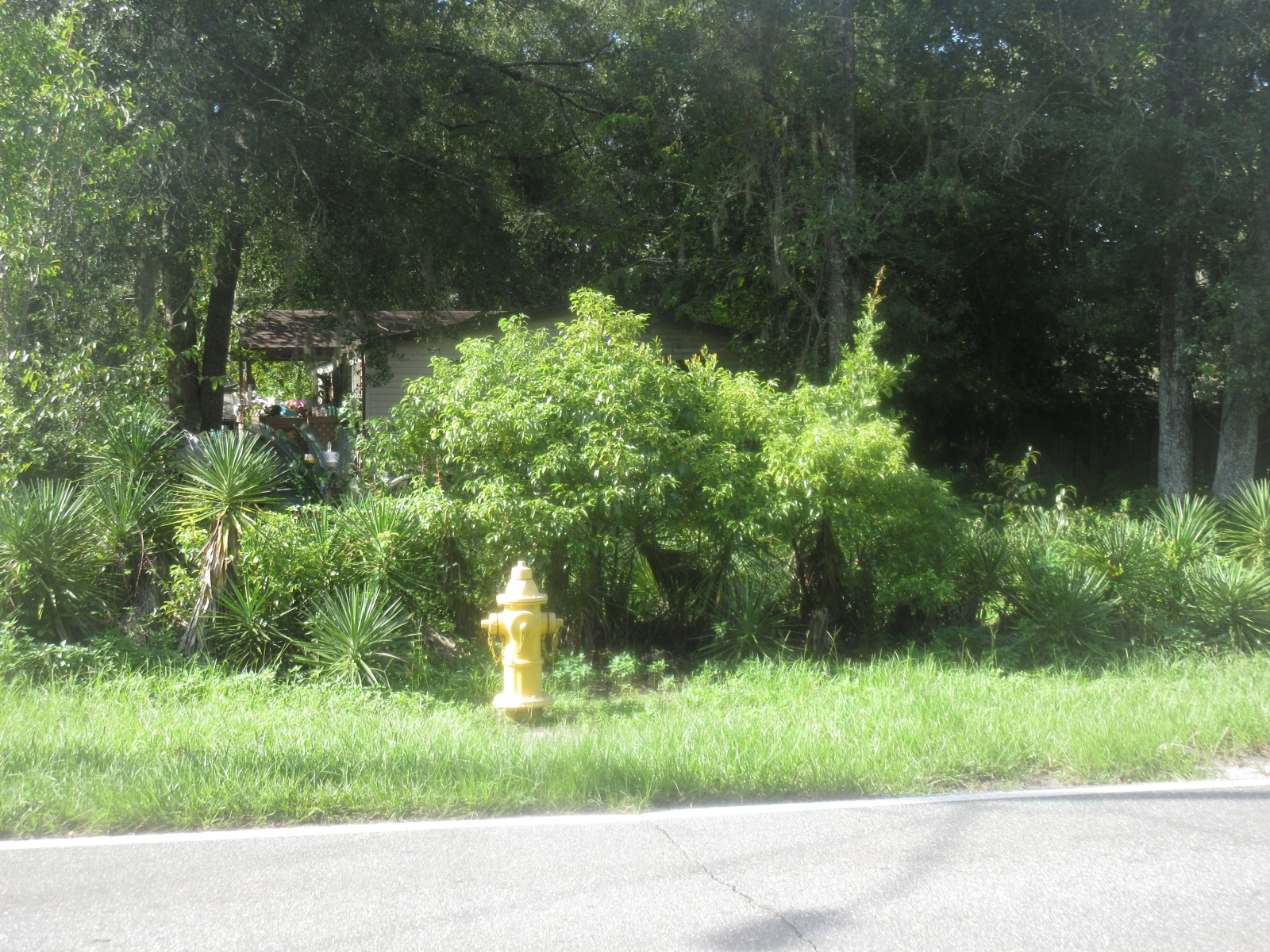 8406 Noroad photo 4