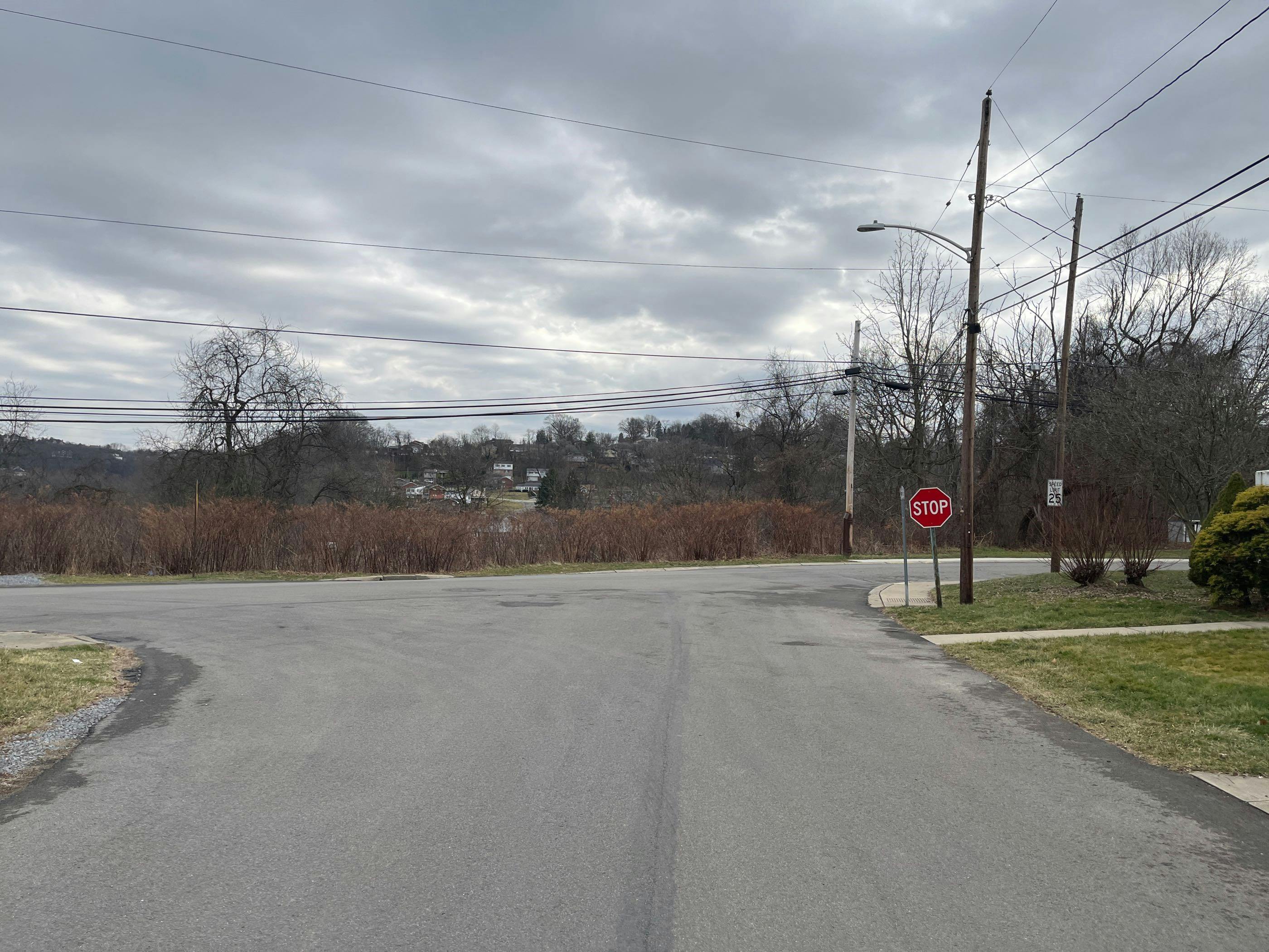 Vesper St, Bridgeville, PA 15017