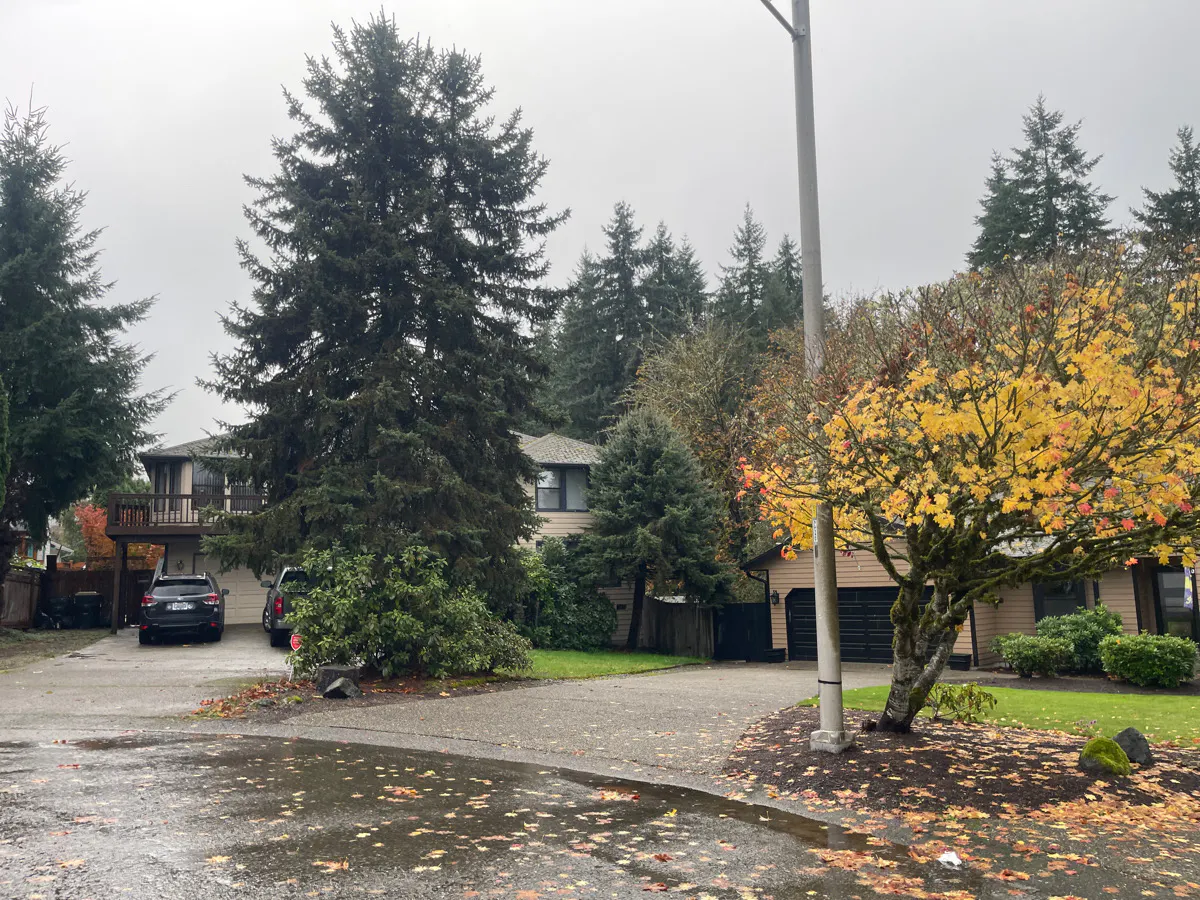 Dellrose Rd, Tumwater, WA 98512 #1