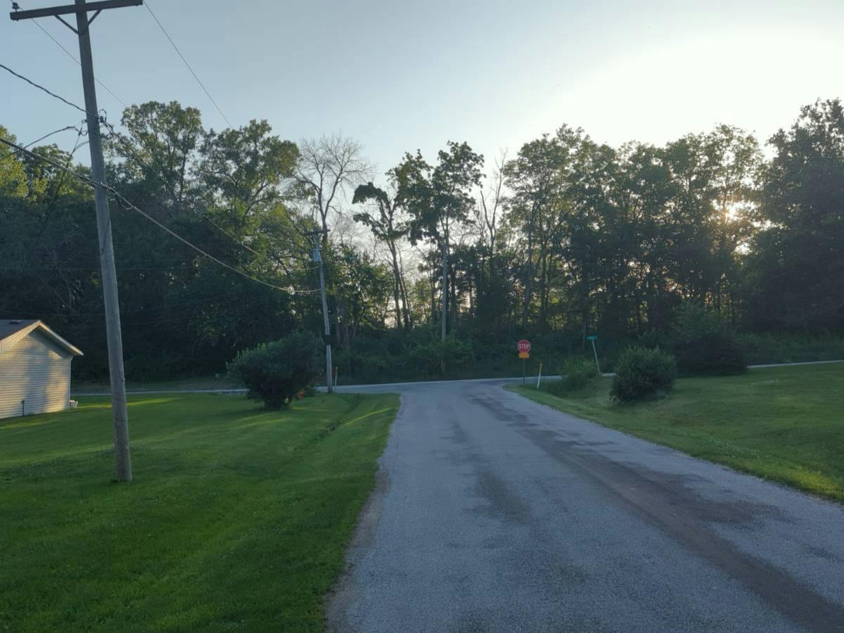 Chestnut St, Buffalo, IA 52728