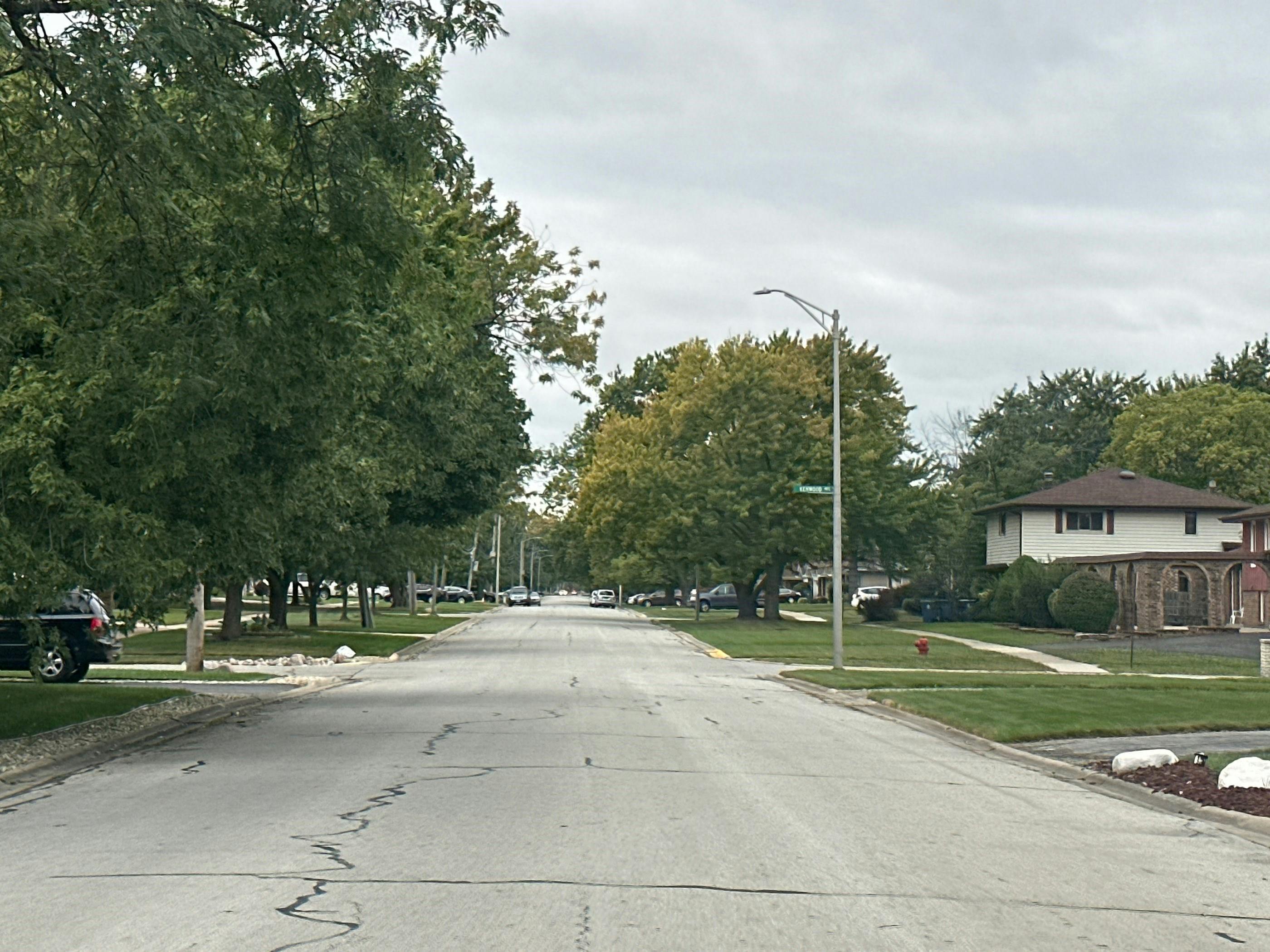 Prince Dr, South Holland, IL 60473 #1