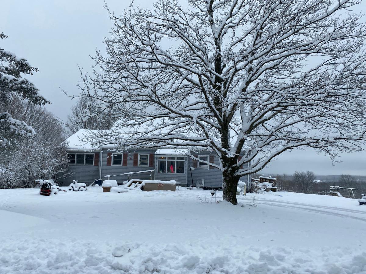 Austin Hill Rd, Erin, NY 14838 #1