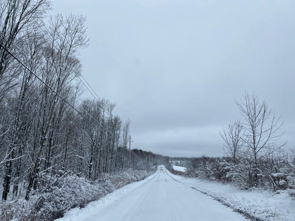 Austin Hill Rd, Erin, NY 14838