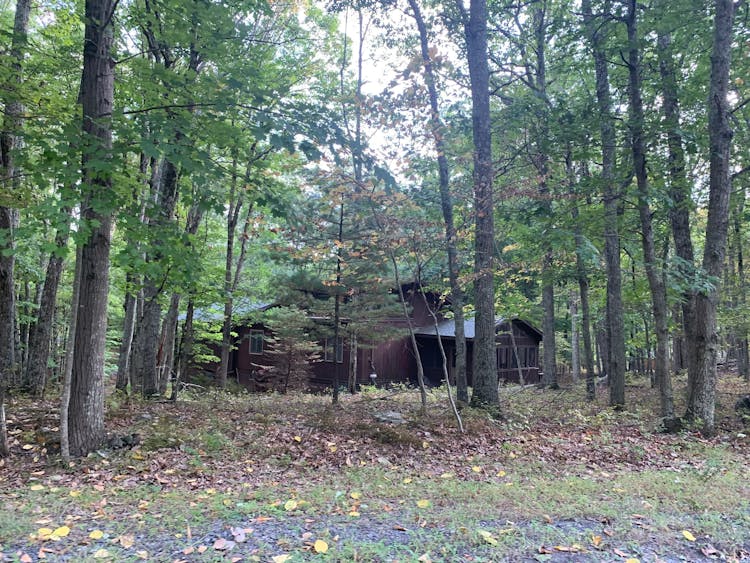 161 Fern Dr, Canadensis, PA, 18325, USA