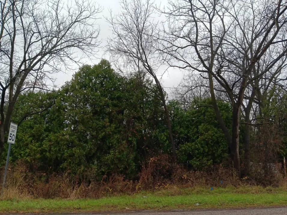 3690 Sheridan Road Saginaw, MI 48601, Saginaw County