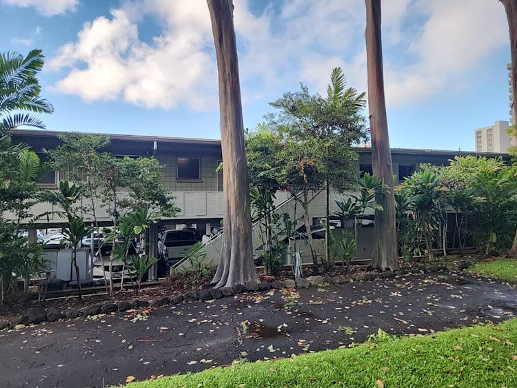 1540 Magazine St B-1 Honolulu, HI 96822, Honolulu County