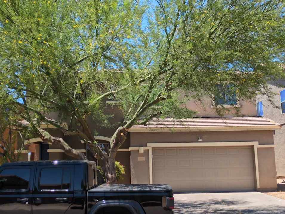 819 N. Nestled Hummingbird Ln Sahuarita, AZ 85629, Pima County