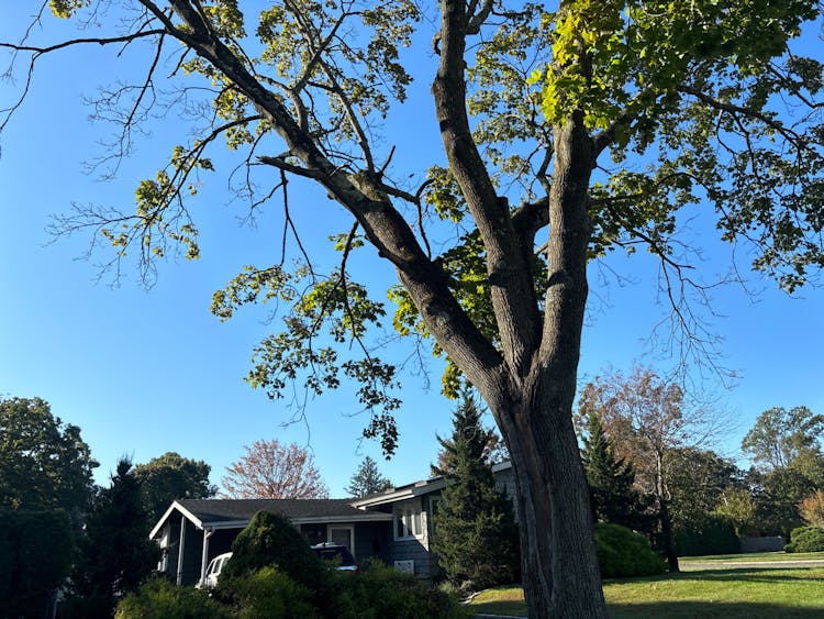 12 Sandalwood Drive Smithtown, NY 11787, Suffolk County