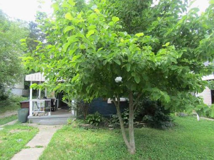 117 E 41st St Covington, KY 41015, Kenton County