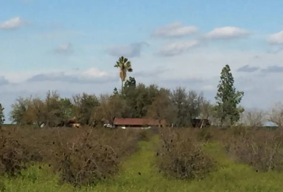 10400 Colorado Rd San Joaquin, CA 93660, Fresno County