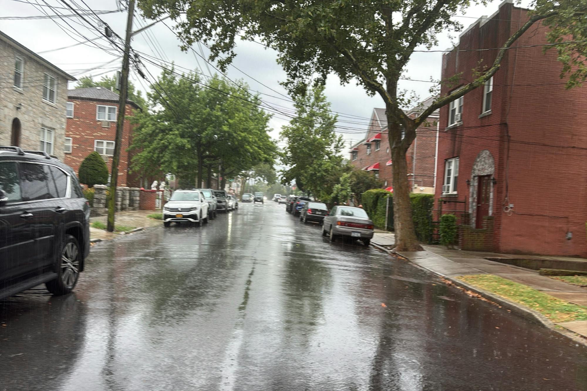 Yates Ave, Bronx, NY 10469 #1