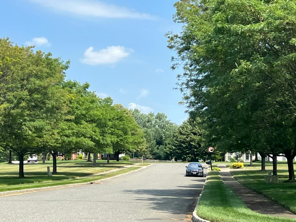 Lynx Ct, Mullica Hill, NJ 08062 #1