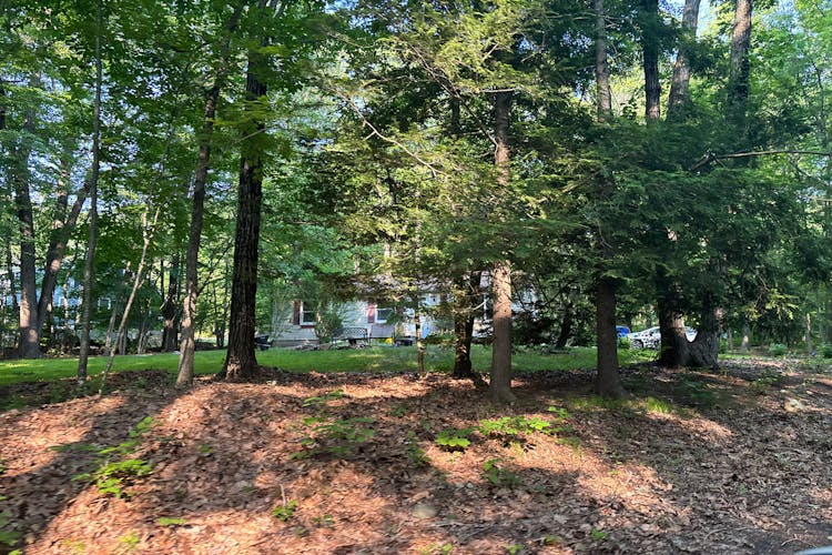 220 Buena Vista Rd Coventry, CT 06238, Capitol County