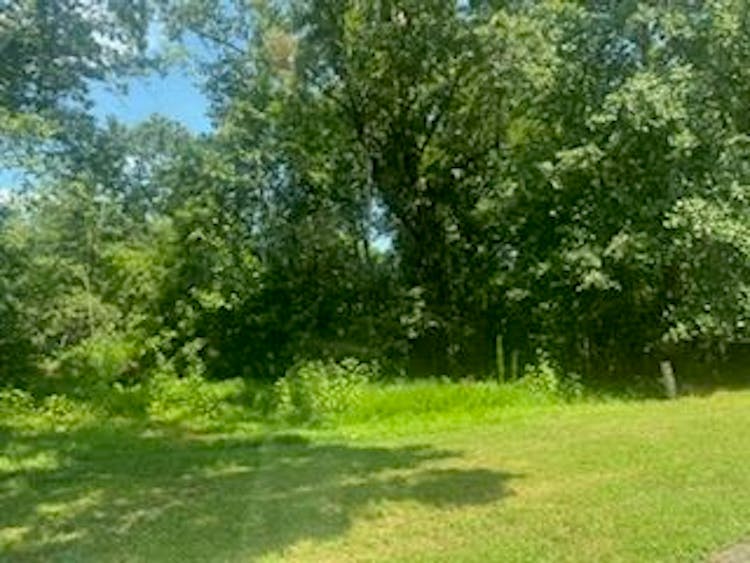 Old Rocky Tr Rising Fawn, GA 30738, Dade County