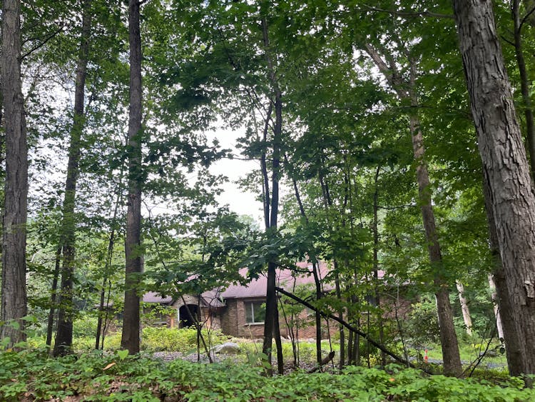 105 Kings Hwy Washington Township, NJ 07853, Morris County