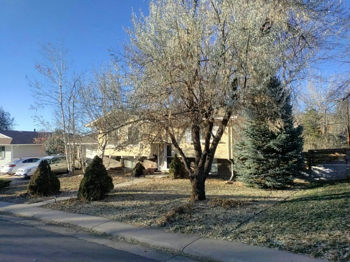 Ulster Cir, Centennial, CO 80112 #1