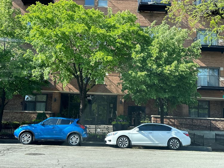 1000 E 53rd St 119s Chicago, IL 60615, Cook County