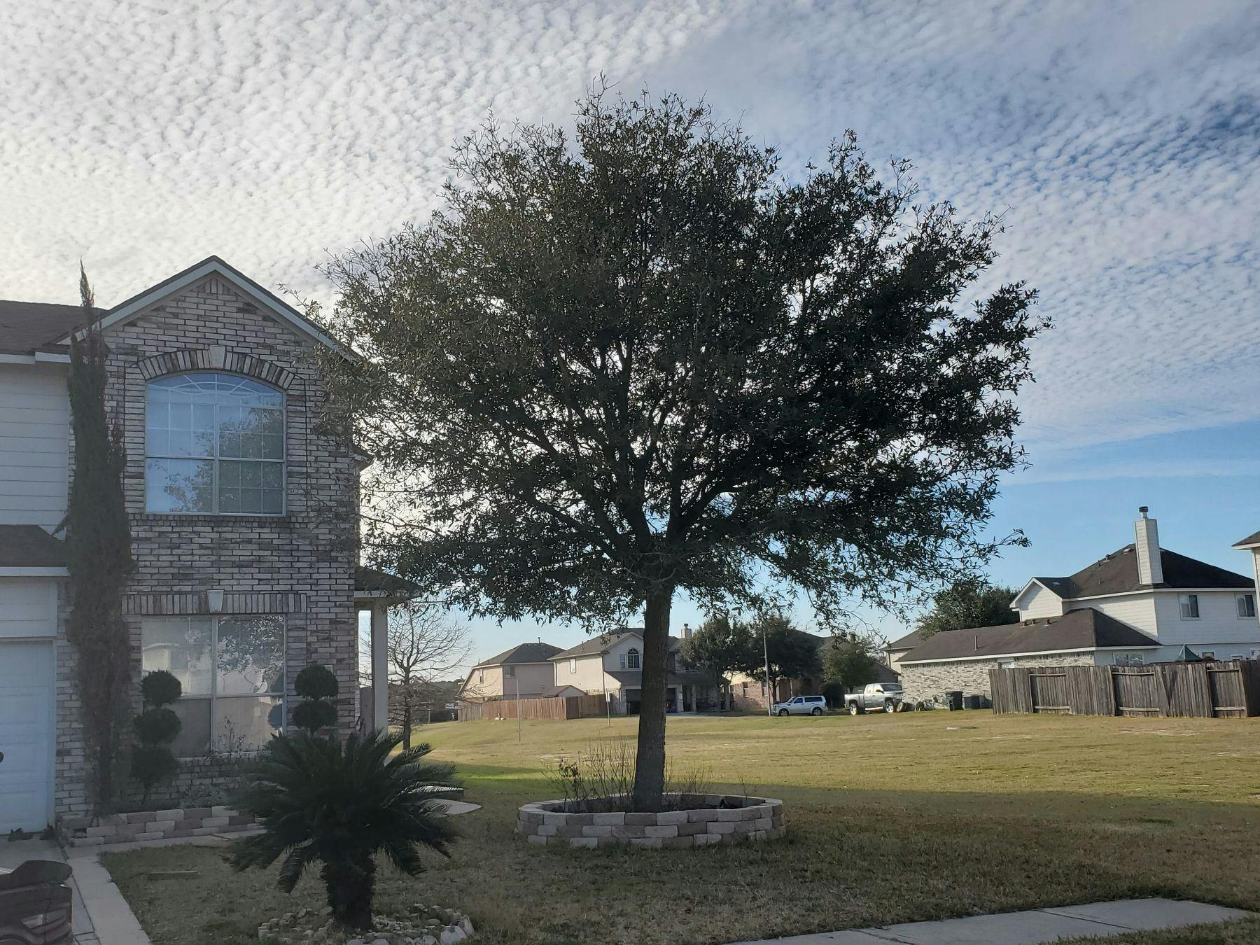 Imperial Brook Dr, Houston, TX 77073 #1