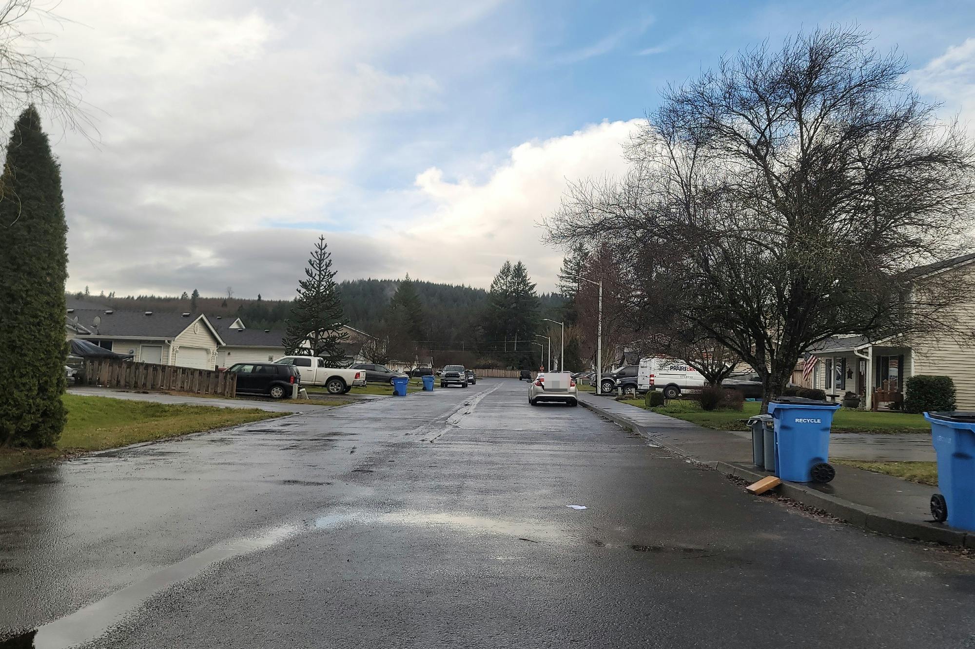 Wilson St, Yacolt, WA 98675 #1