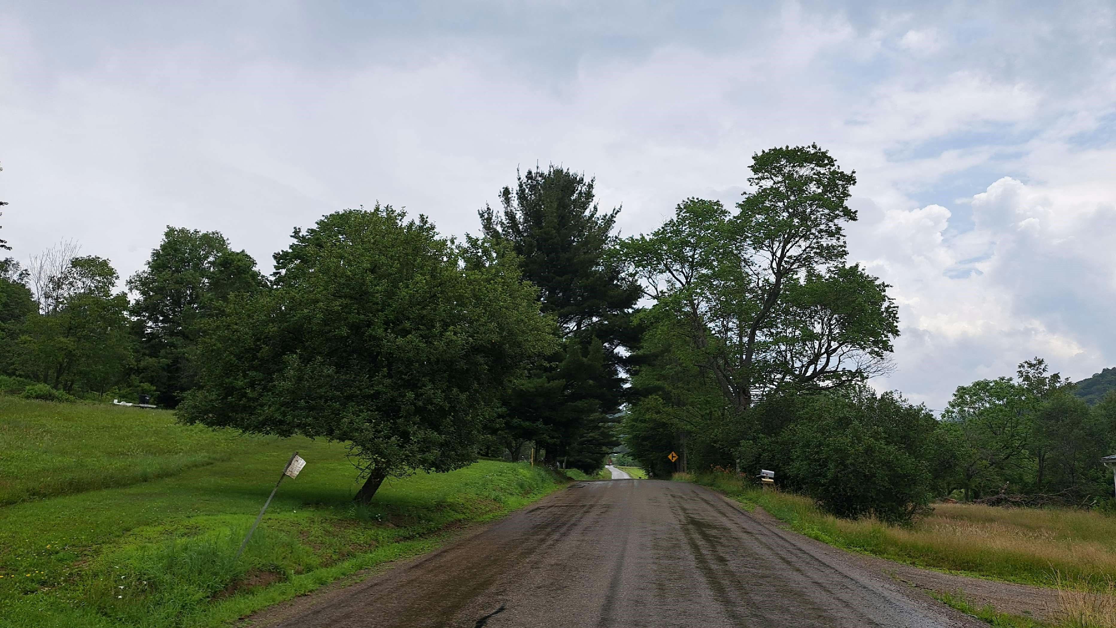 Eleven Mile Rd, Shinglehouse, PA 16748
