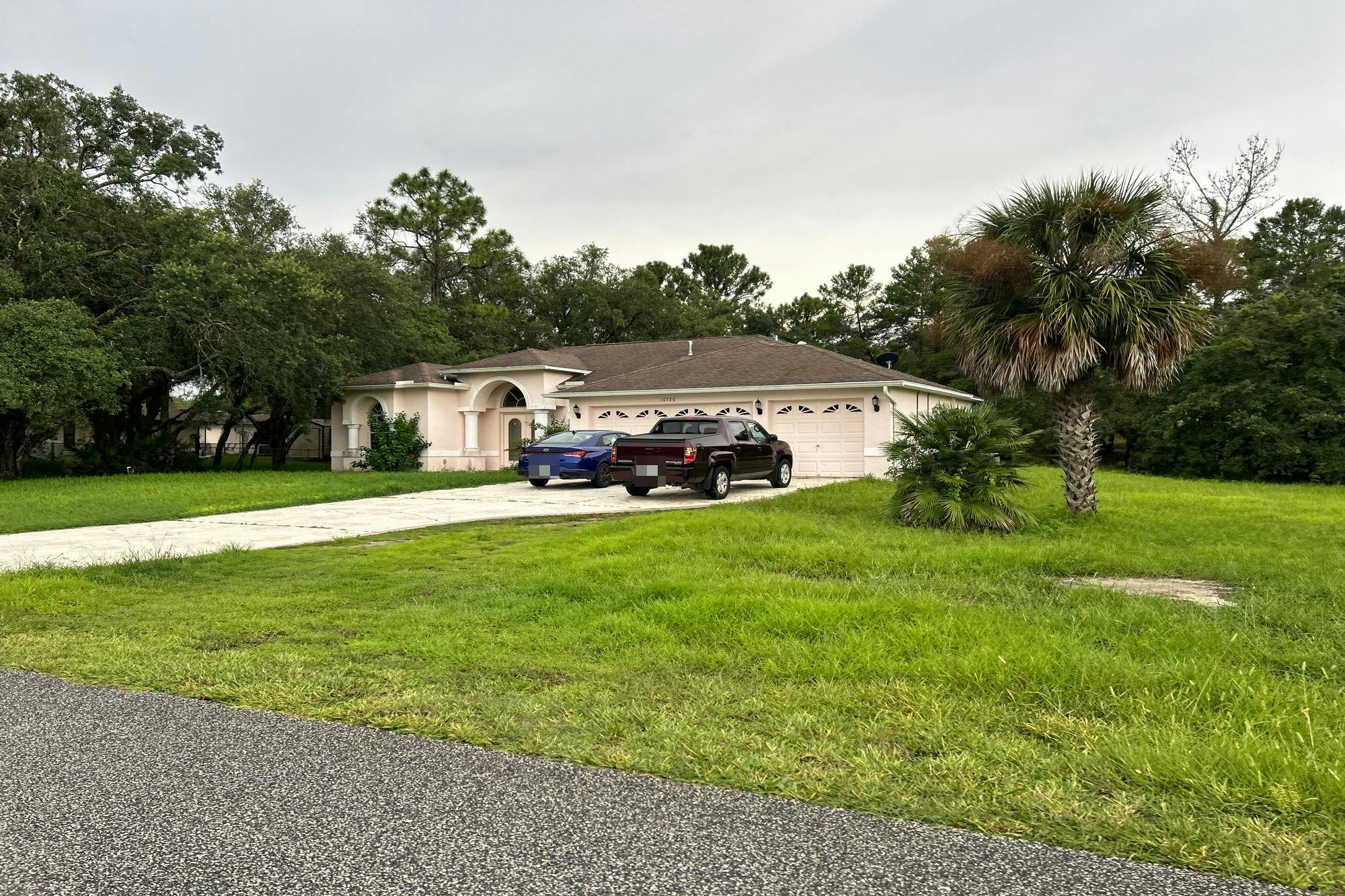 Calico Warbler Ave, Weeki Wachee, FL 34613 #1