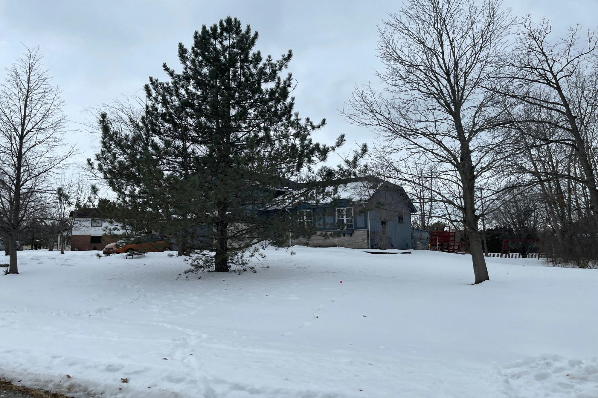 Forestview Trl, Crete, IL 60417 #1