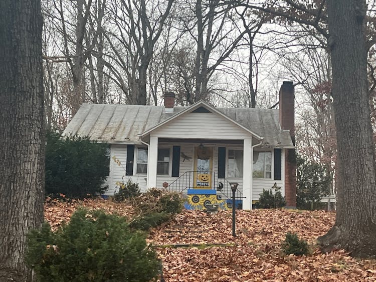 787 Old White Hill Road Stuarts Draft, VA 24477, Augusta County