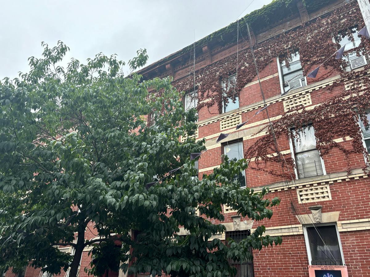 Ralph Ave, Brooklyn, NY 11233 #1