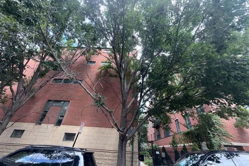 14th Pl, Chicago, IL 60605 #1