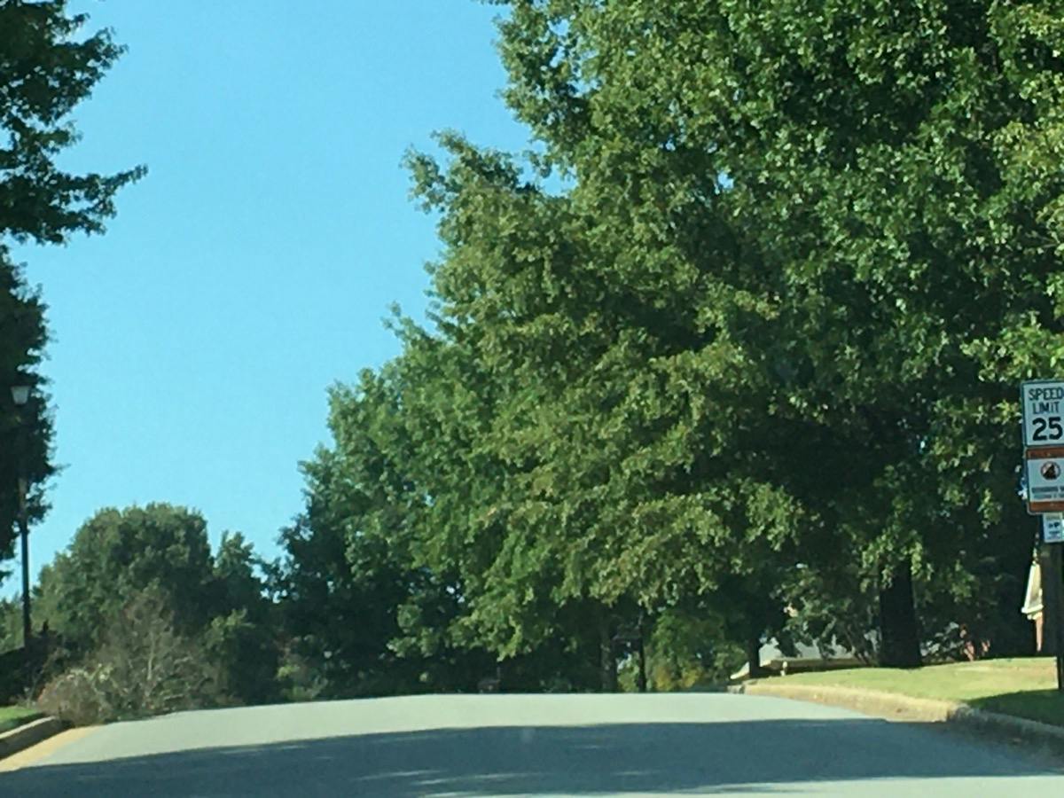 Forest Hill Dr, Athens, AL 35613