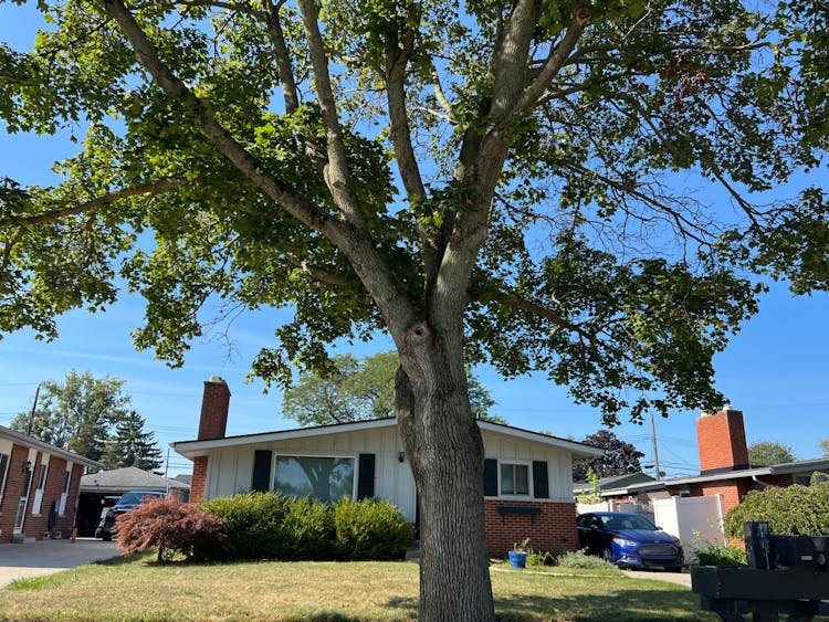 30400 Lisch St Rockwood, MI 48173, Wayne County