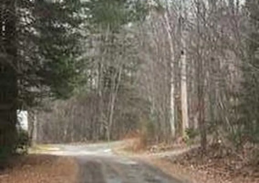 Deer Hill Rd, Whitingham, VT 05361 #1