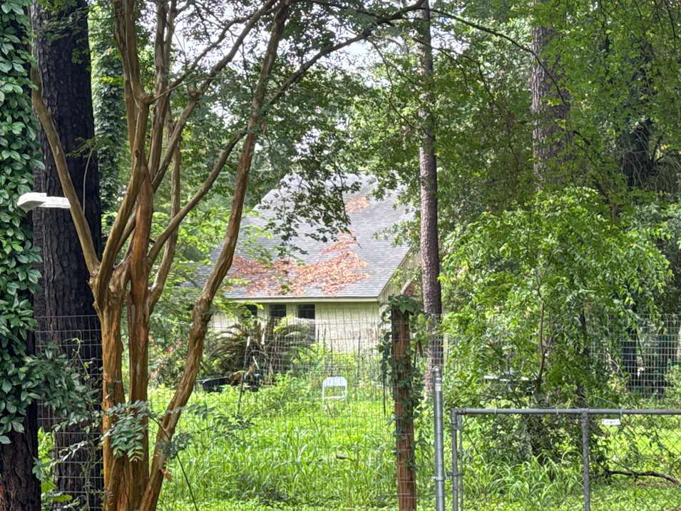 11711 Dermott Drive Houston, TX 77065, Harris County