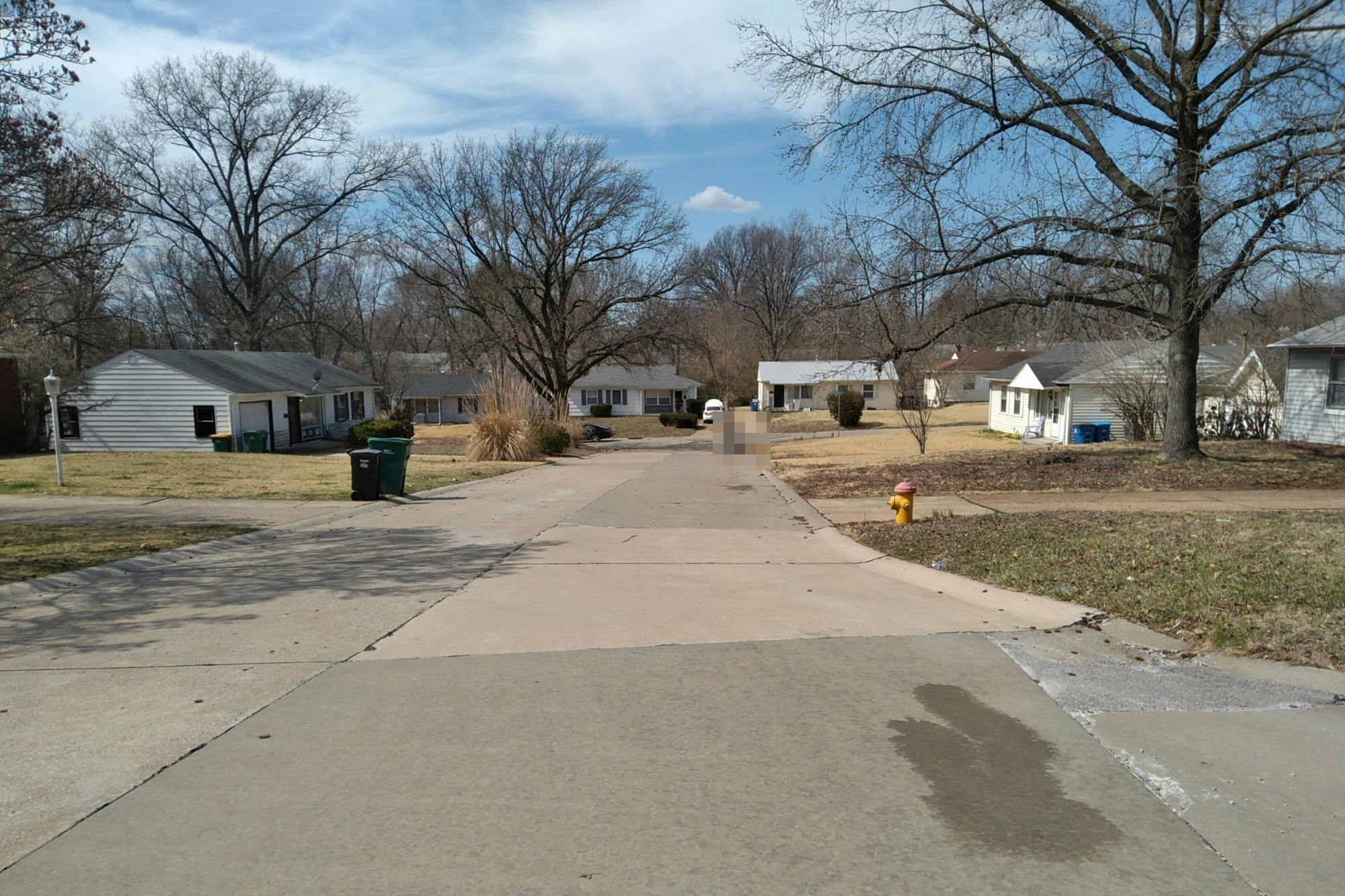 Dellwood Ct, Saint Louis, MO 63136