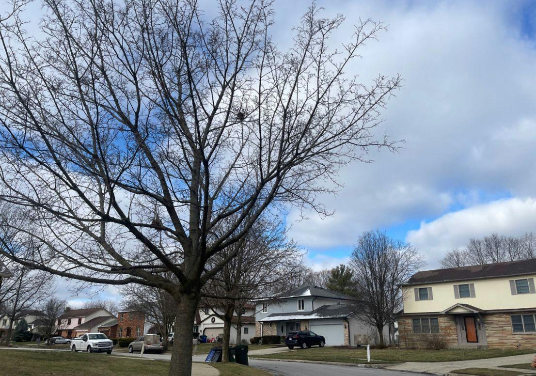 Archway Dr, Columbus, OH 43235