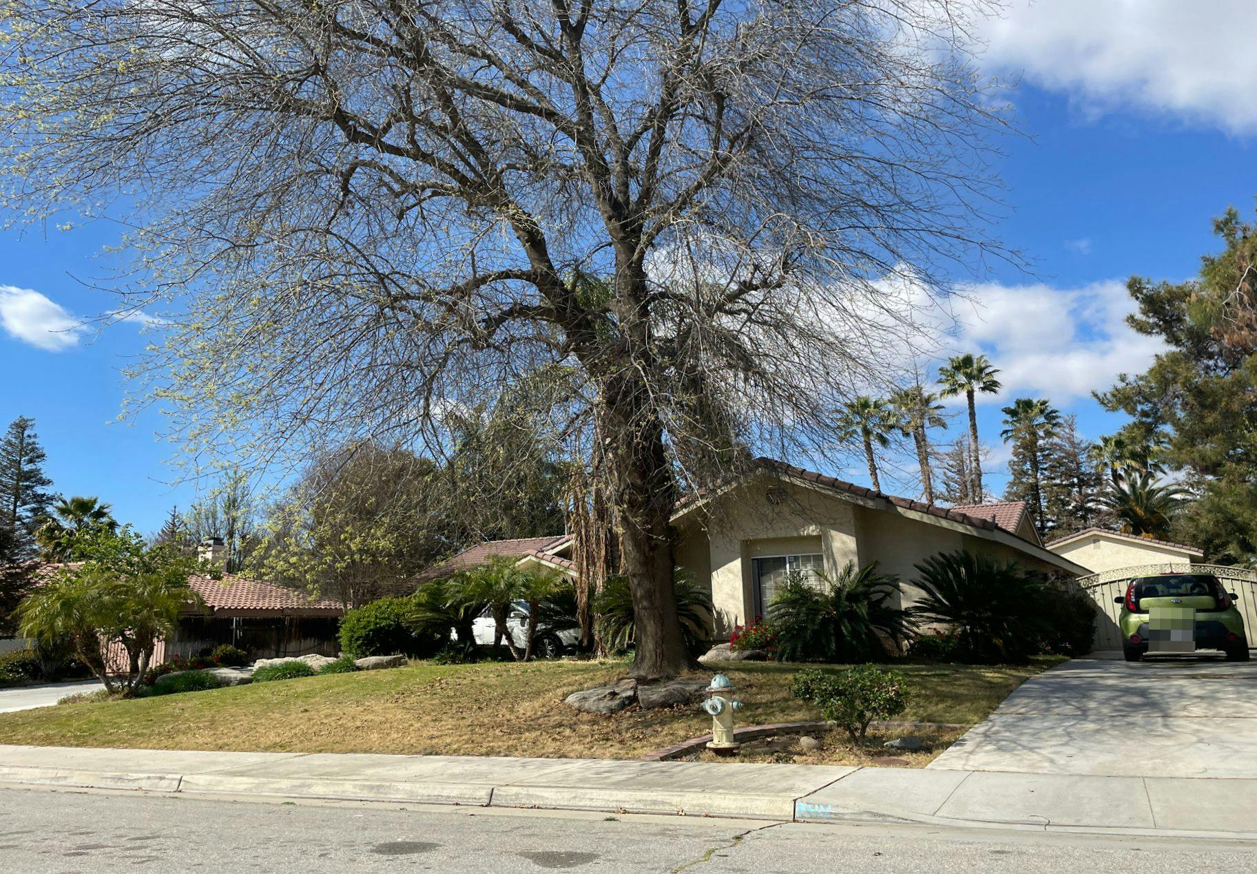 Branch Ct, Bakersfield, CA 93312 #1